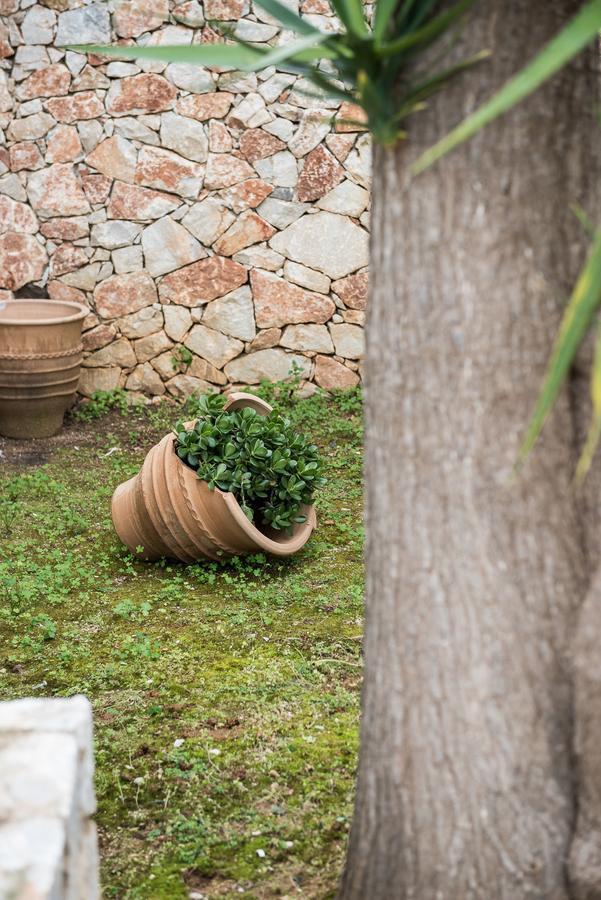 Appartement Zen Serenity Retreat With Great Outdoors, Pool & Parking *